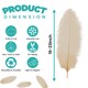 image 2 of 50cm - 60cm Large Ostrich Feathers, Showgirl Spadones - 5pcs