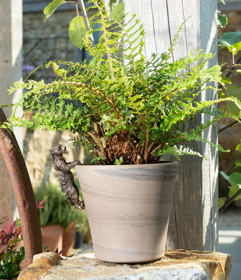 image 1 of Meerkat Plant Pot Hanger - L10.5 x W3.5 x H5 cm | Bronze