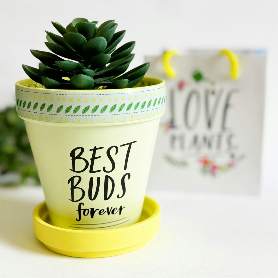 Love Plants Pot Ceramic Growing Garden Best Buds Forever N/A