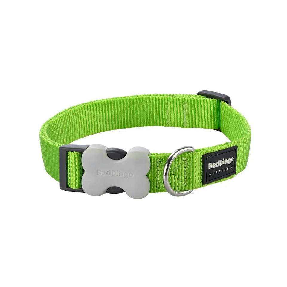 image 1 of Dog Collar Classic Lime Green Green | XS