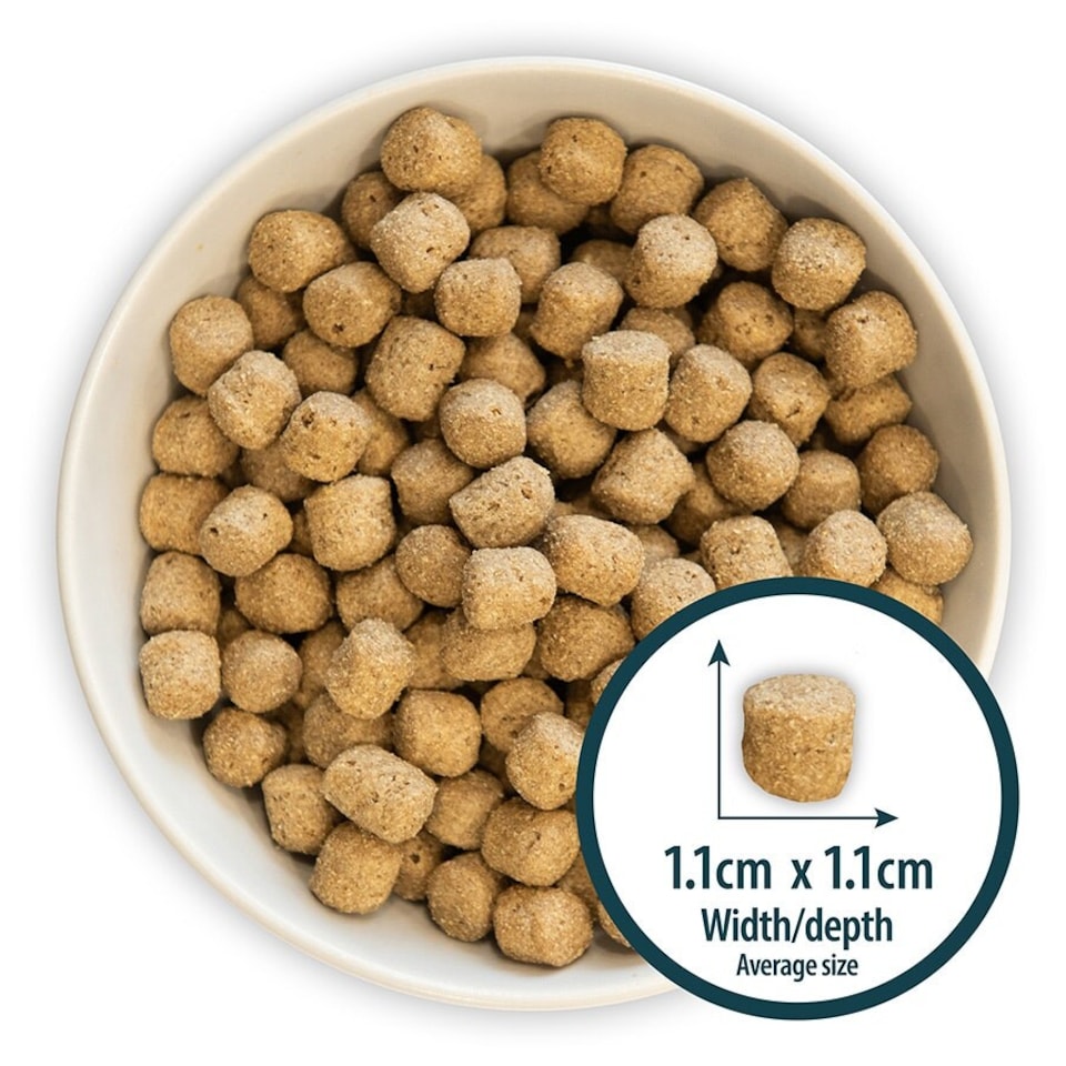 image 1 of Burns Original Lamb & Brown Rice Adult & Senior Dry Dog Food - 2 kg