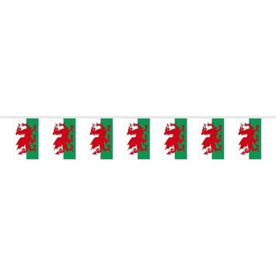Welsh Fabric Flag Bunting 3m