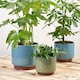 image 2 of Burgon & Ball Malibu Blue Large Glazed Pot