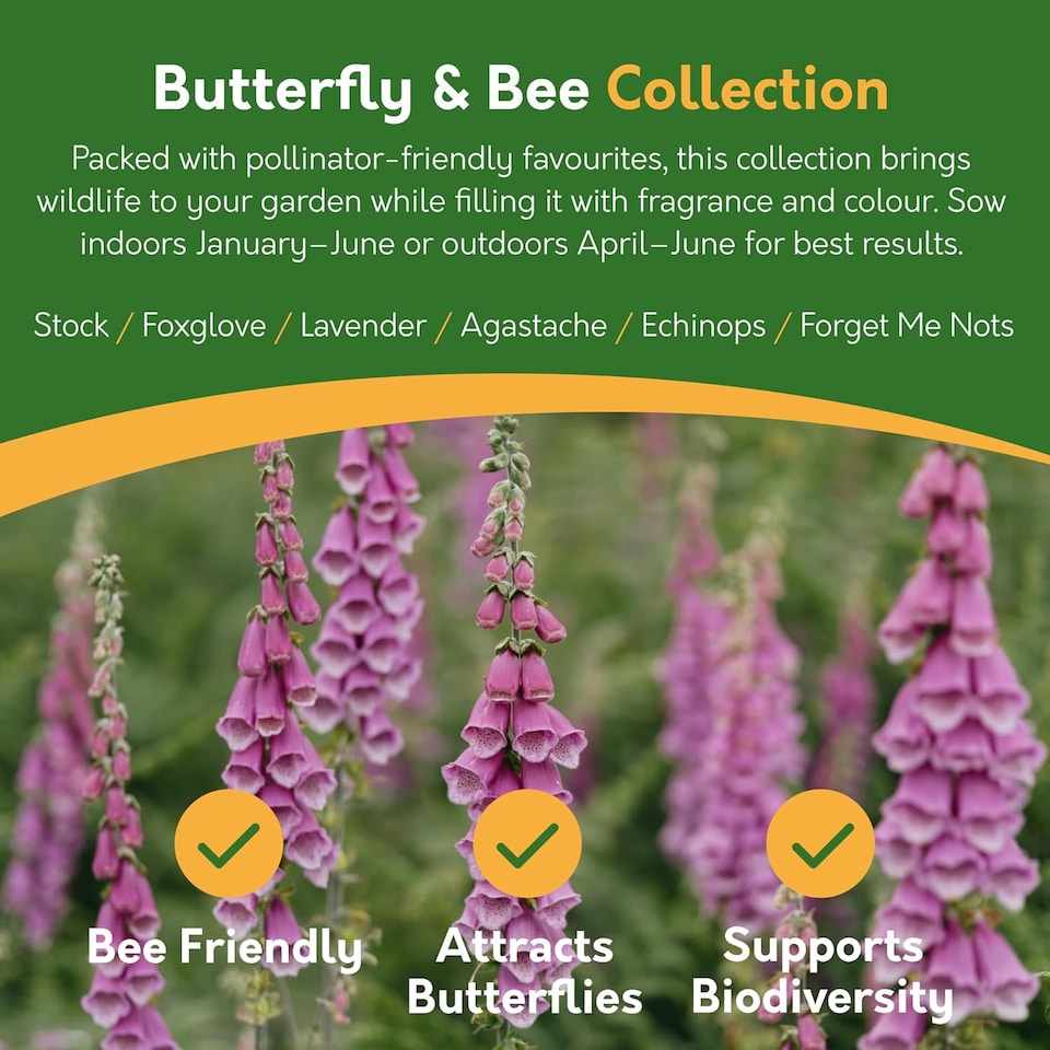 image 1 of Pronto Seed Bumper Baskets & Containers Flower Seed Variety Pack.  18 Varieties, Over 1400 Seeds