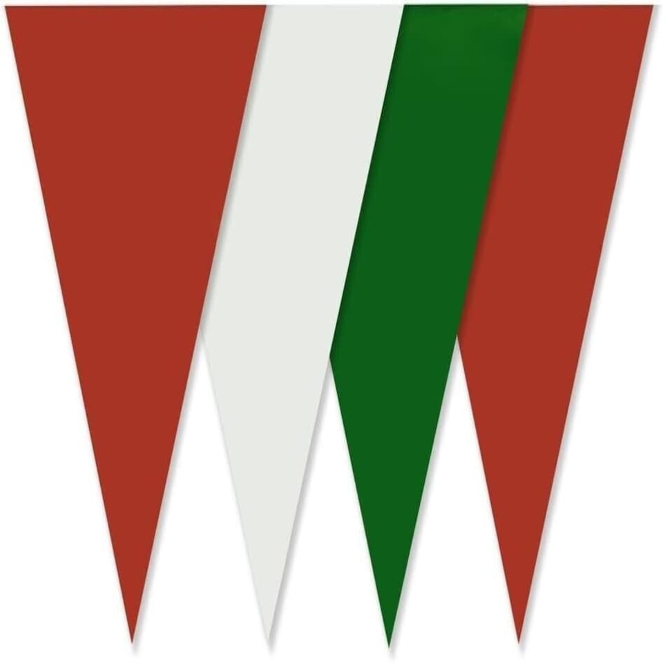 image 1 of Green, Red and White Party Bunting 10m with 20 Pennants