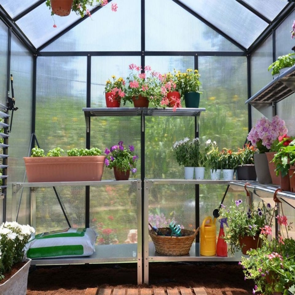image 1 of Greenhouse Glory 6 x 8 - Polycarbonate - L244.5 x W195.5 x H251 cm - Grey