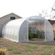 image 2 of Living and Home Outdoor Walk-in Tunnel Greenhouse with Steel Frame - White