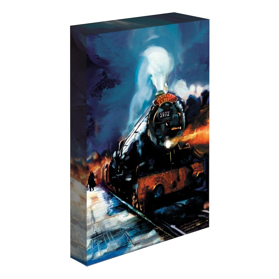 HARRY POTTER (HOGWARTS EXPRESS) LIGHT UP CANVAS - HARRY POTTER