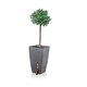 image 1 of Primrose Baltic Grey Stone Effect Flared Square Planter Plant Pot 76m