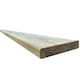 image 8 of Snowdon Timber Treated Reject Extra-Wide Decking Board (T) 27mm (W) 145mm (L) 2.4m - Pack of 8