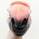 image 4 of Wild Thingz Red Macaw Hand Puppet