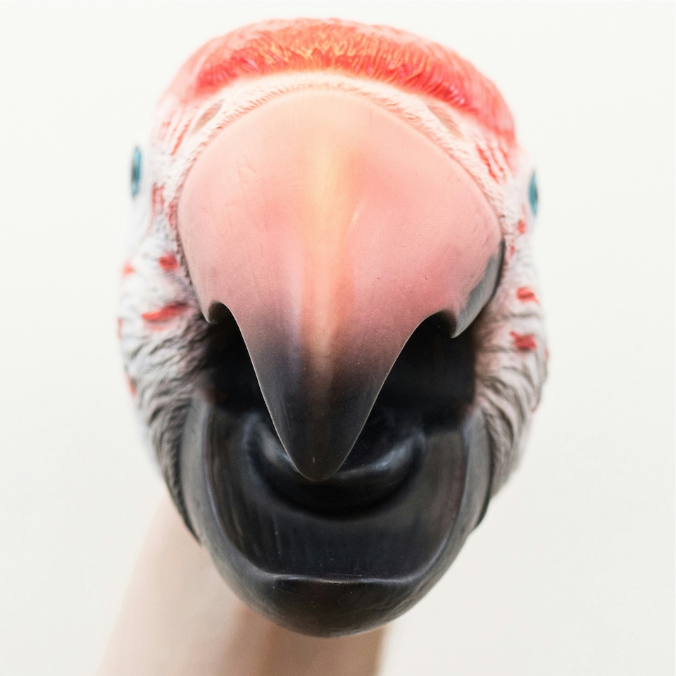 image 1 of Wild Thingz Red Macaw Hand Puppet