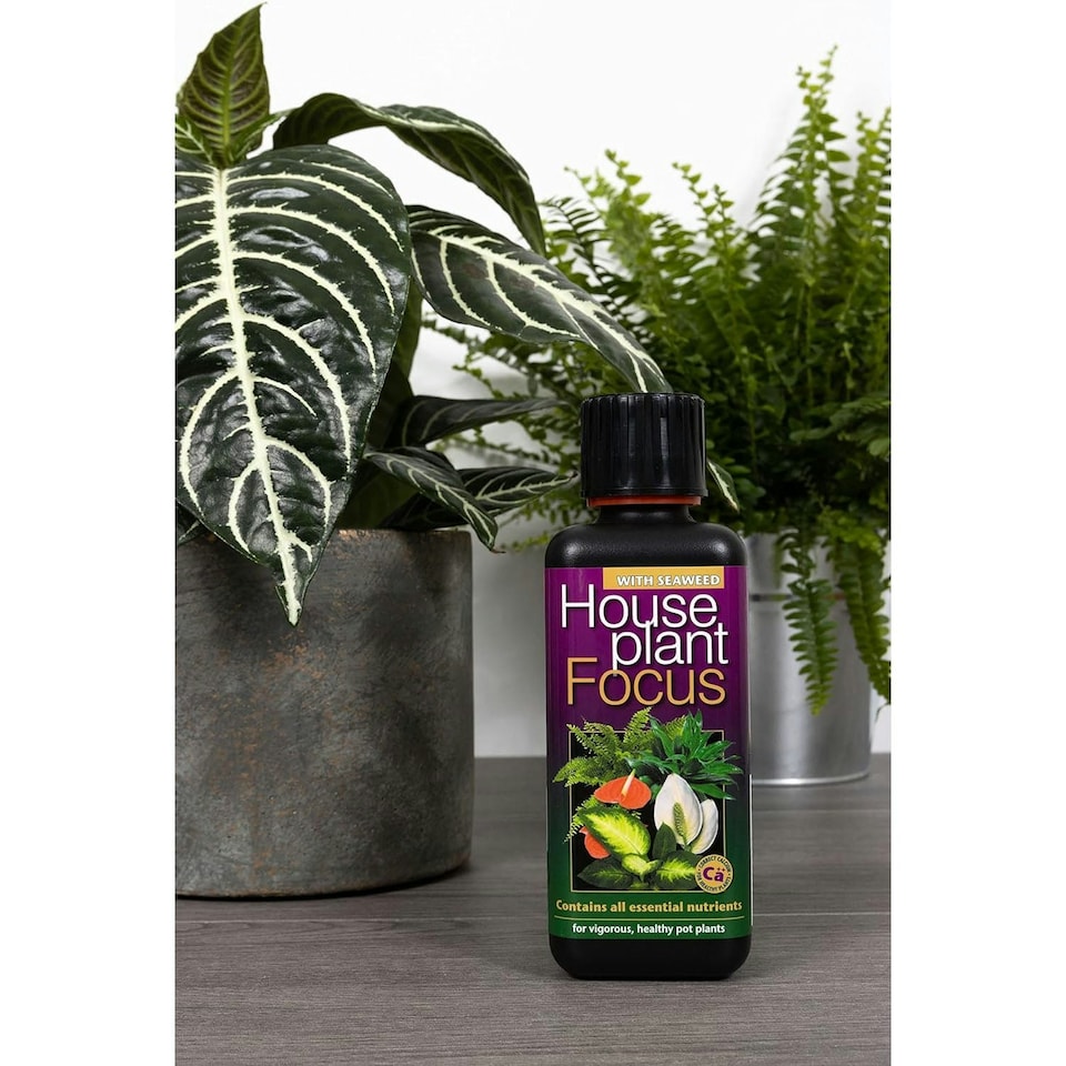 image 1 of Growth Technology Houseplant Myst N/A | Growth Technology Houseplant Myst 750ml | M