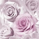 image 1 of Muriva Madison Rose Glitter Wallpaper - Amethyst/Lilac - One Size Purple