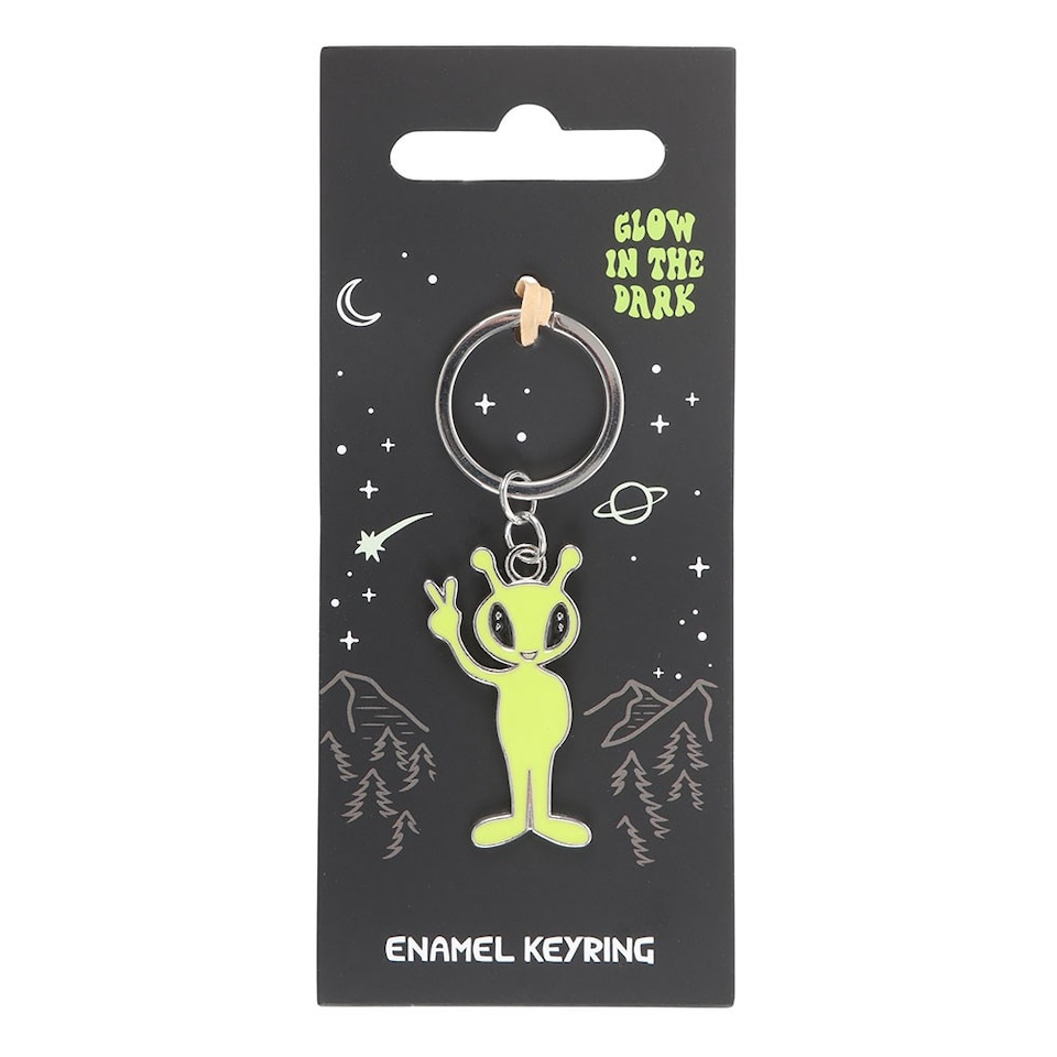 Something Different Alien Glow In The Dark Keyring | Grey | Steel