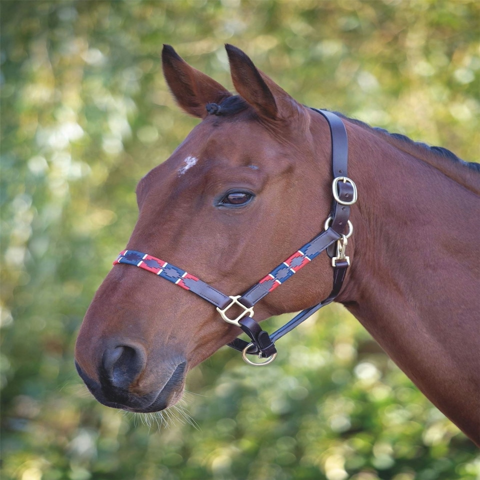 image 1 of Shires Blenheim Leather Polo Headcollar Blue | Colour: Purple/Natural/Navy
Size: Full