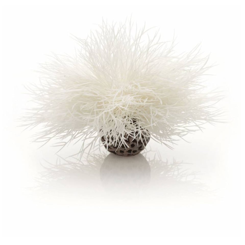 biOrb Sea Lily, White - Aquarium Fish Tank Ornament