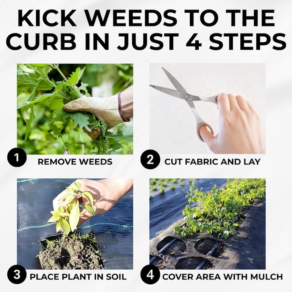 image 1 of Weed Control Membrane Barrier Fabric - 100gsm Heavy Duty - 4m x 10m | Black | 4M x 10M | 1