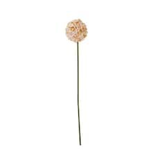The Natural Garden Collection White & Apricot Allium - Artificial Flower (Single Stem) - Plastic - H56 cm - White