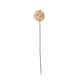 image 1 of The Natural Garden Collection White & Apricot Allium - Artificial Flower (Single Stem) - Plastic - H56 cm - White