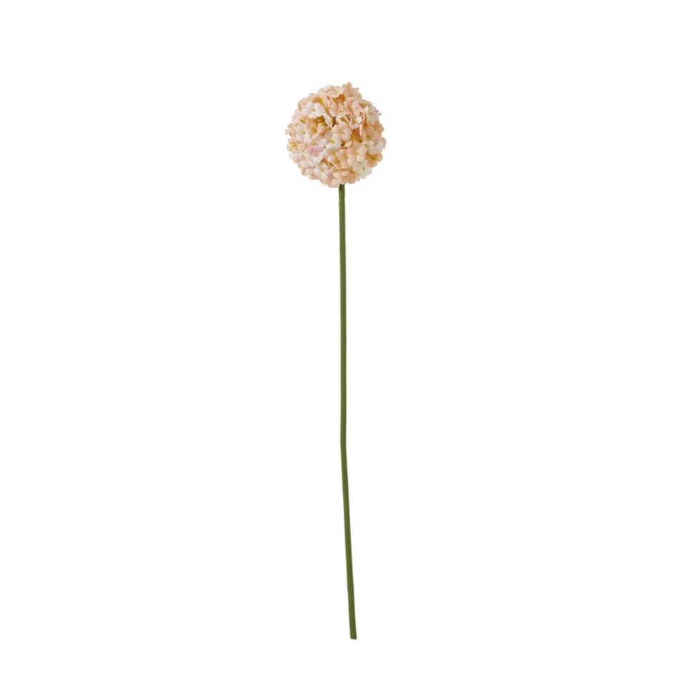 image 1 of The Natural Garden Collection White & Apricot Allium - Artificial Flower (Single Stem) - Plastic - H56 cm - White