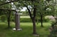 image 3 of Stainless Steel Hanging Nut Feeder