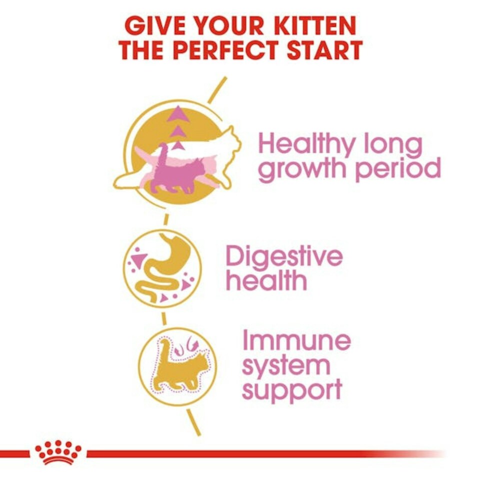 image 1 of Royal Canin Cat Maine Coon Kitten 4KG
