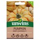 image 1 of Pumpkin Sweet Lightning F1