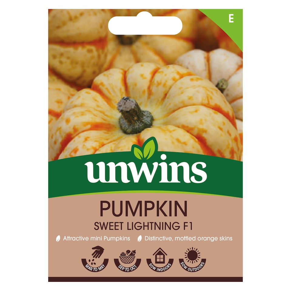 image 1 of Pumpkin Sweet Lightning F1