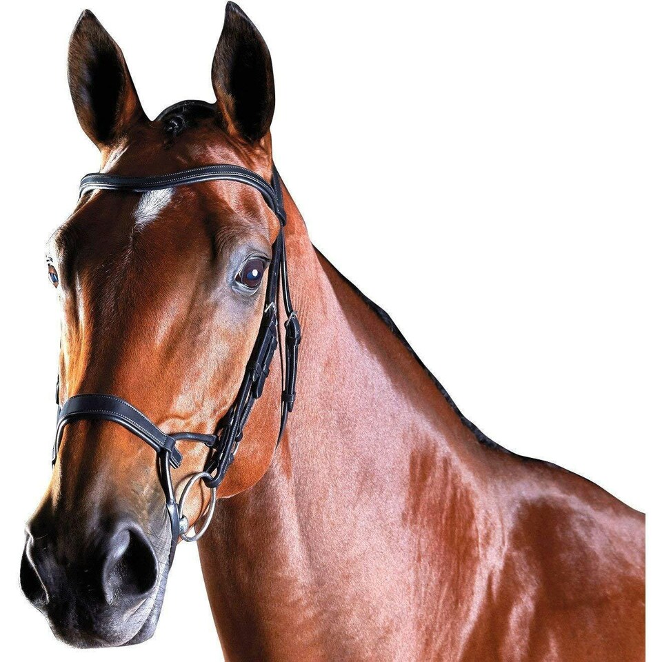 image 1 of Collegiate Comfitec Leather Training Bridle - Black - Pony