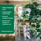 image 3 of Studio 4x 14cm Round Plastic Planter Grey