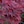 Purple-Red