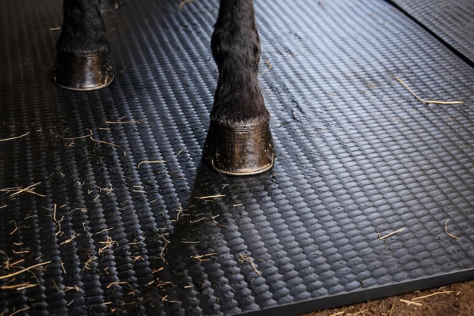 image 1 of Actiasmat EVA Horse Stable Mat – 6ft x 4ft (1.82m x 1.22m), 34mm Thick, Straight Edge Design