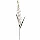image 1 of Gladioli Artificial Flower - Fabric/Plastic - L6 x W11 x H108 cm - White