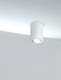 image 2 of Alfa Surface Mounted Ceiling Downlight White, 1 Light, GU10