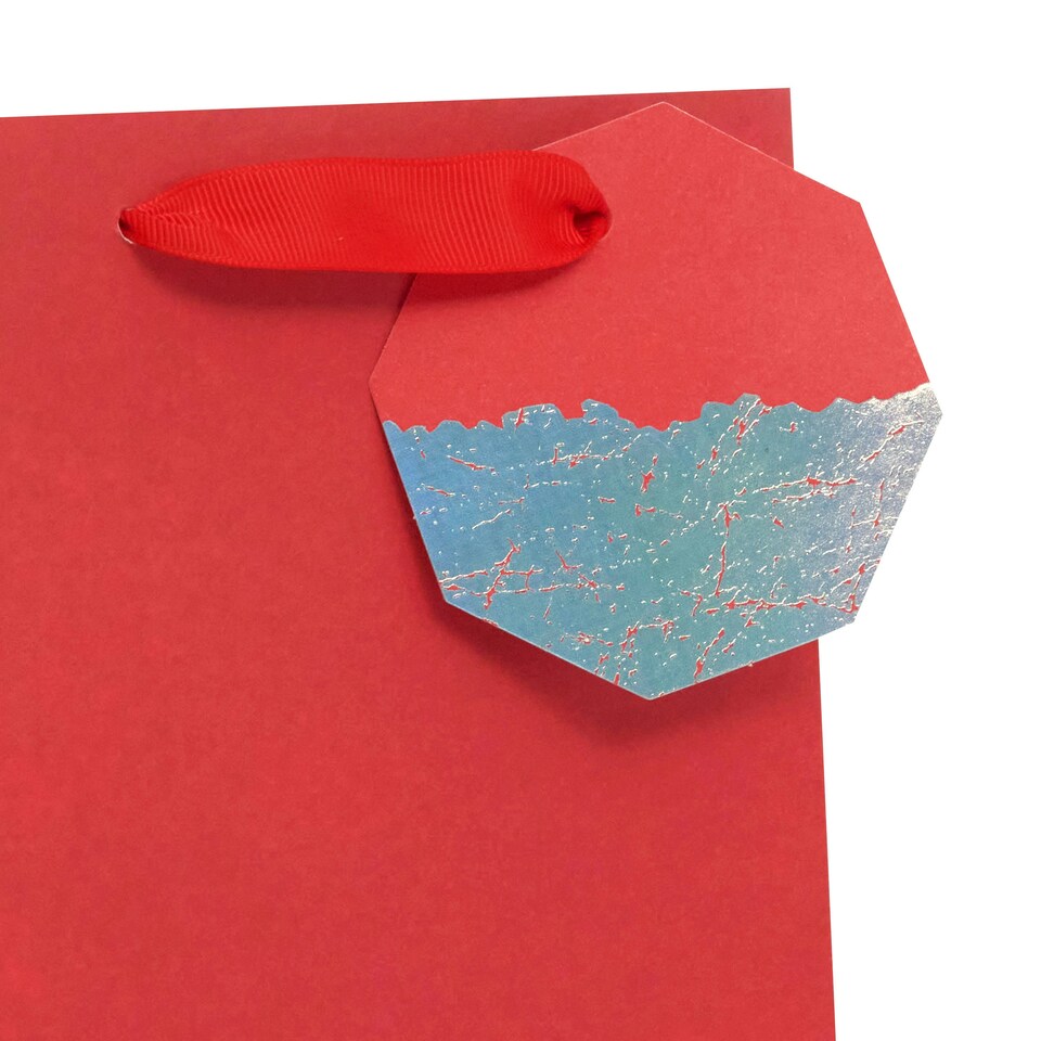 image 1 of Plain Red Bottle Gift Bag - Pack of 3