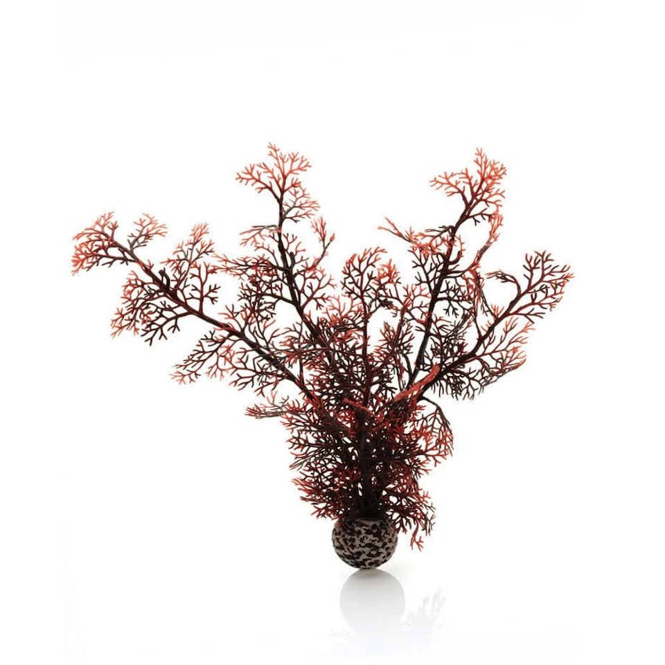 biOrb Sea Fan, Large, Crimson - Aquarium Fish Tank Ornament
