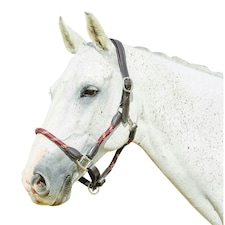 Kincade Leather Rope Headcollar - Burgundy/Brown - Full