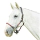 image 1 of Kincade Leather Rope Headcollar - Burgundy/Brown - Full