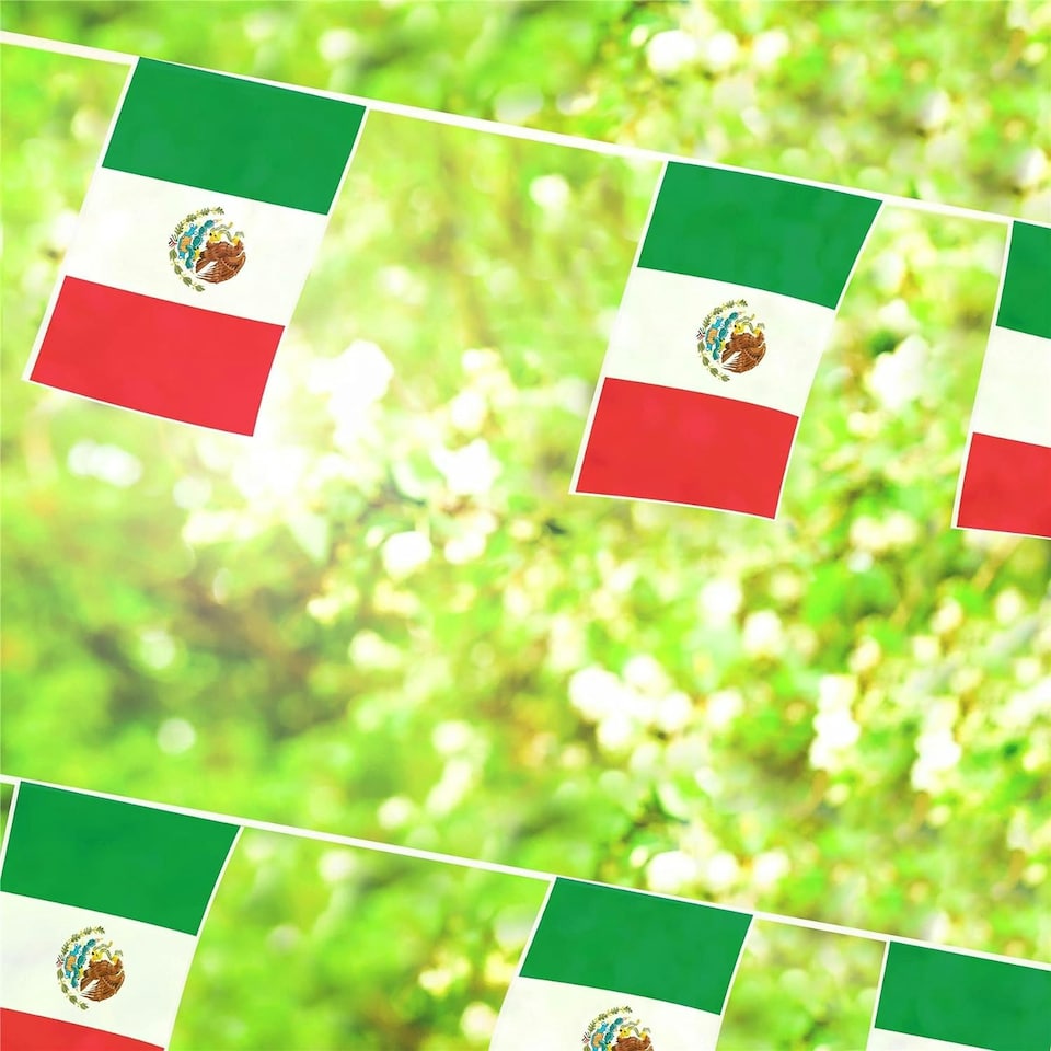 image 1 of Mexico Flag Rectangle Party Bunting 10m with 20 Flags