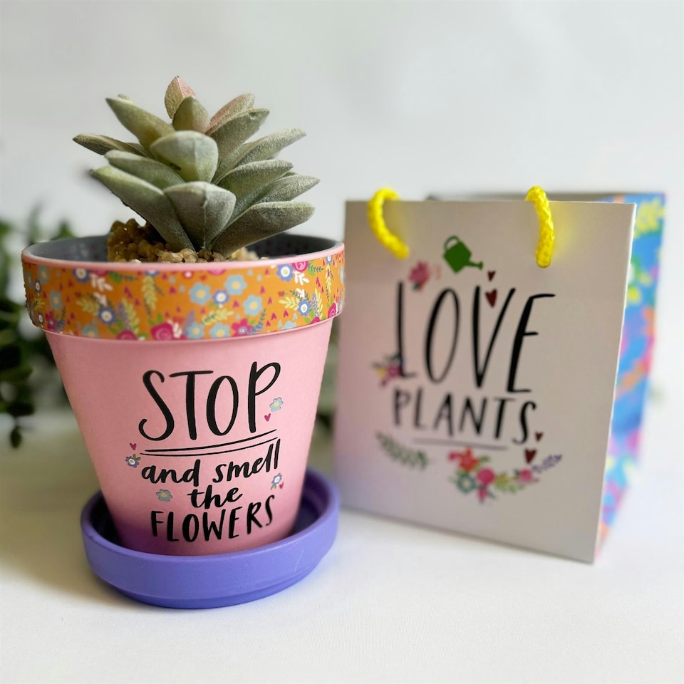 Love Plants Pot Ceramic Growing Garden Stop And Smell The Flowers | Multi