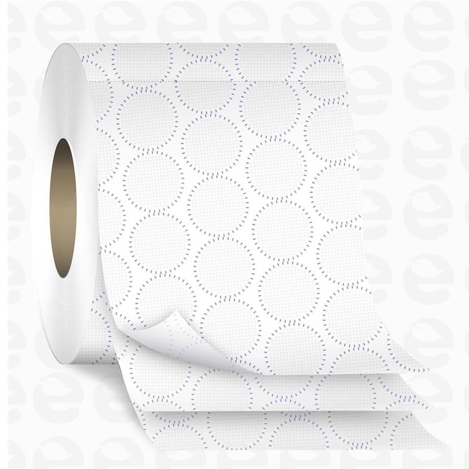 image 1 of Splesh Toilet Roll Original White 12 Rolls Quilted 3-Ply Soft Toilet Paper