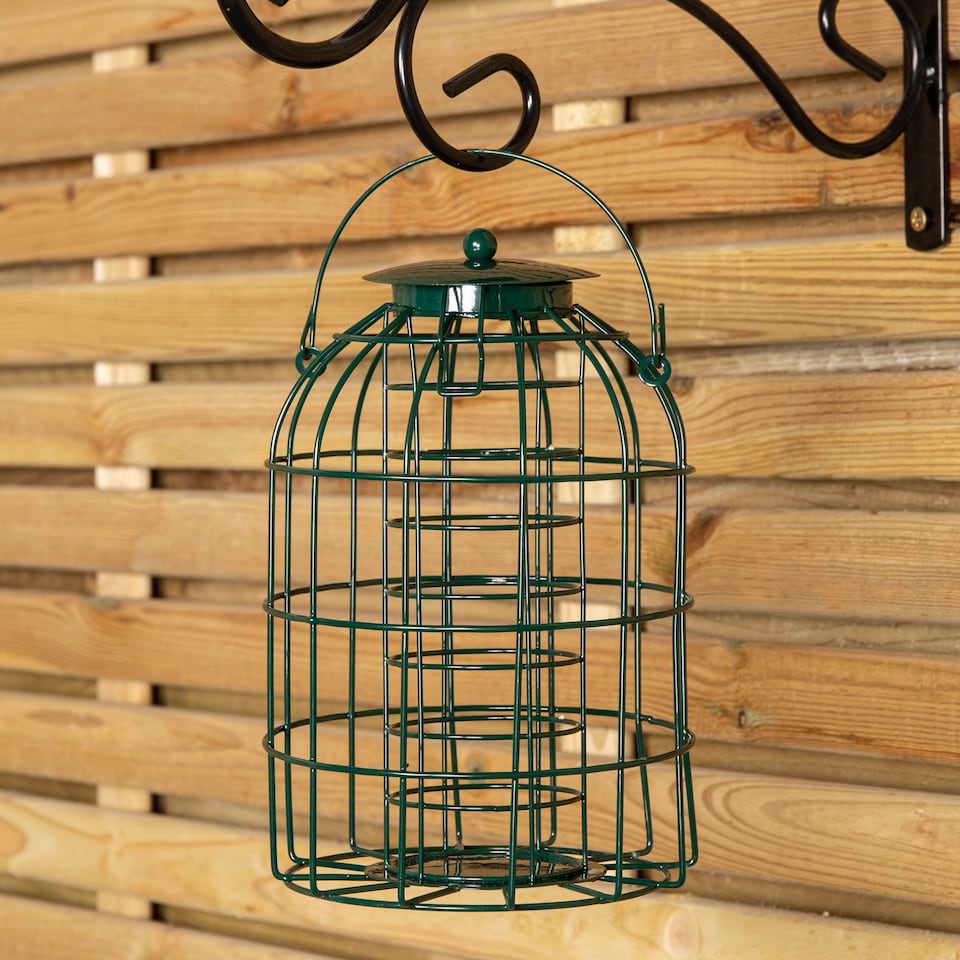 image 1 of Samuel Alexander Metal Hanging Bird Fat Ball Feeder with Squirrel Guard & Pack of 6 Suet Fat Balls
