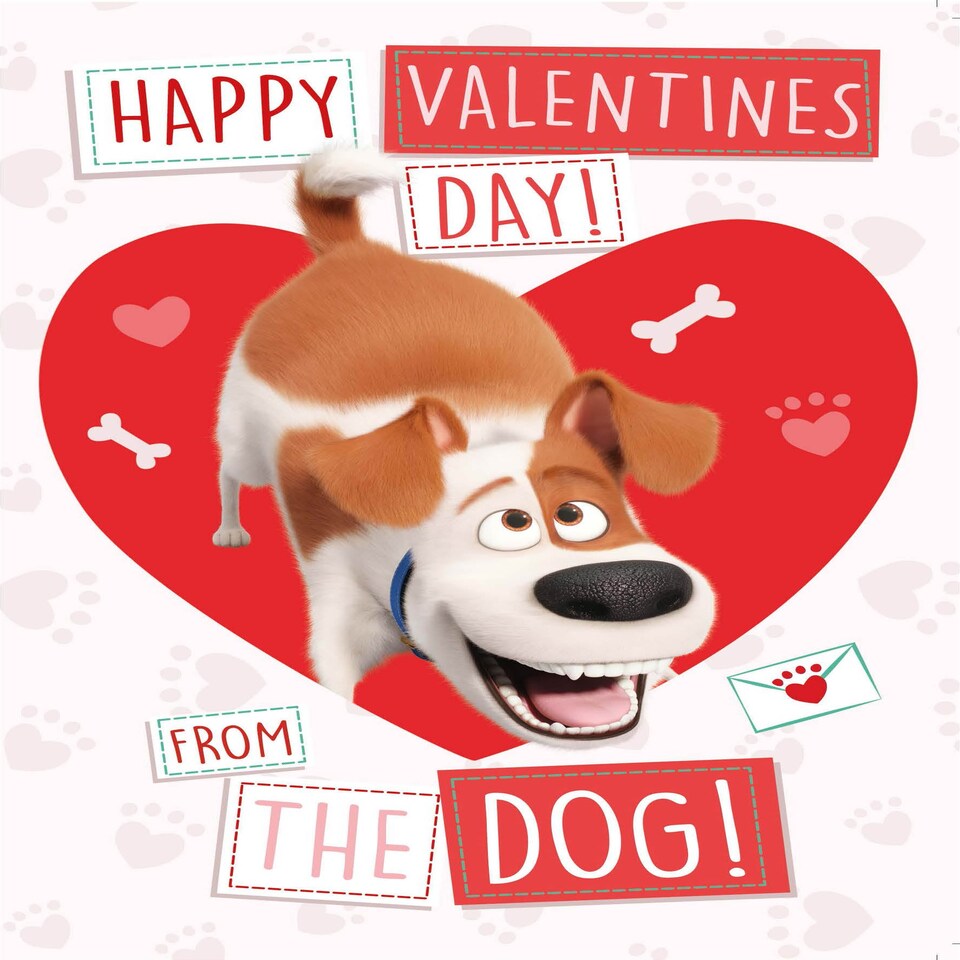 image 1 of The Secret Life of Pets "From The Dog" Valentine's Day Card