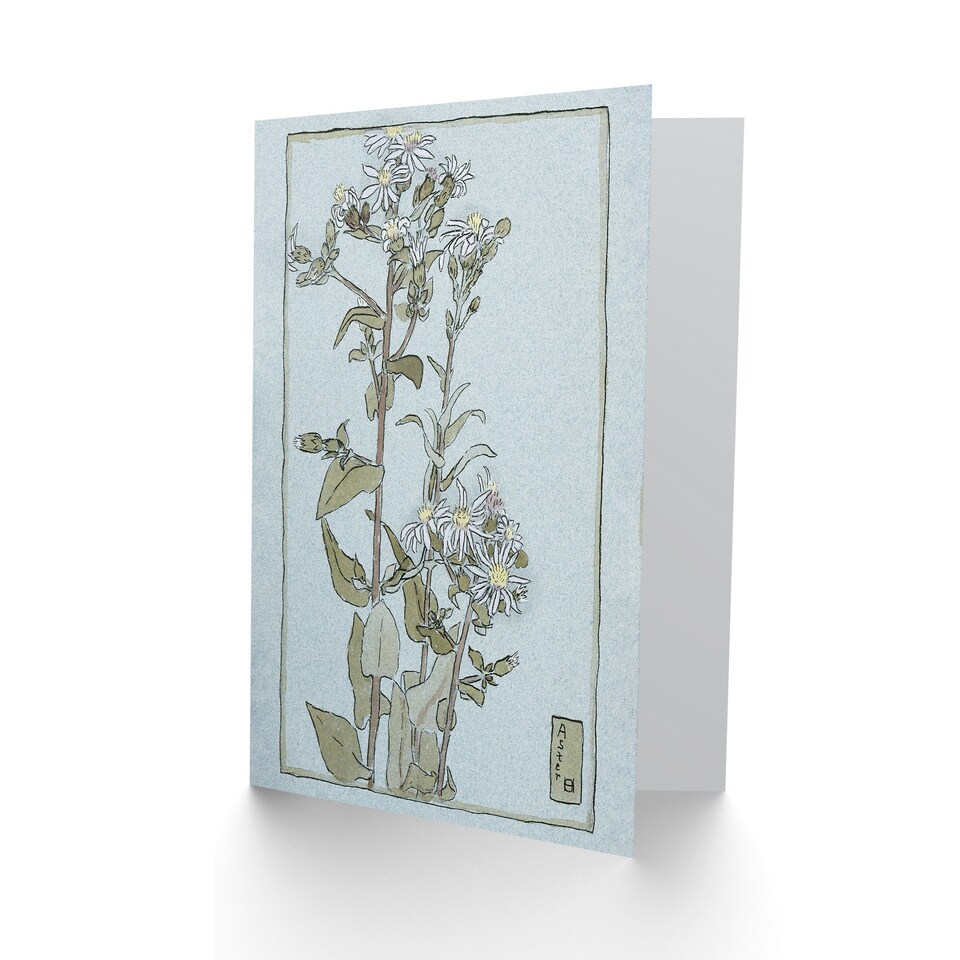 image 1 of Hannah Borger Overbeck Art Card Aster on Green Ground