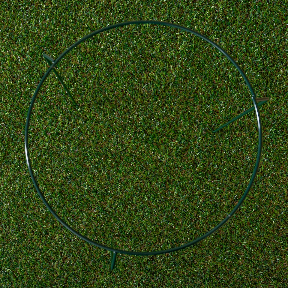 image 1 of Tom Chambers Urban Metal Herbaceous Garden Plant Support Ring Medium 30cm x 50cm