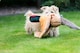 image 2 of Plush Pheasant - Extra Large