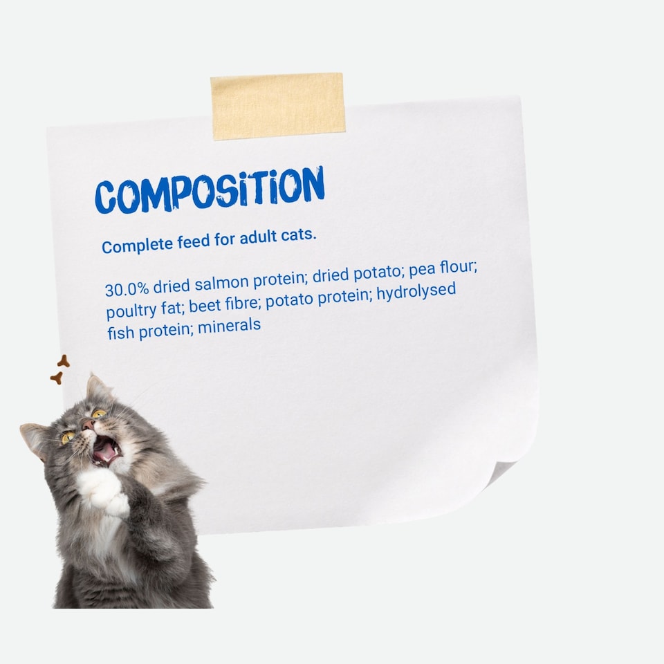 image 1 of Josera Marinesse complete adult cat food | Grain-free | Single animal protein | Salmon | Hypoallergenic | Sensitive | Anti-Hairball | Urinary pH | 8x0.4kg