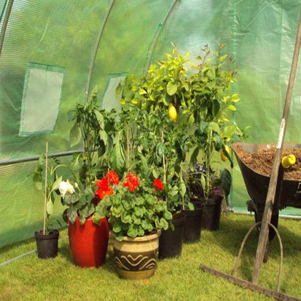 image 1 of 6m x 3m (20' x 10' approx) Pro+ Polytunnel Greenhouse - Green
