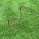 image 2 of Heron Garden Art - Steel - W38.1 x H111.8 cm - Bare Metal/Ready to Rust